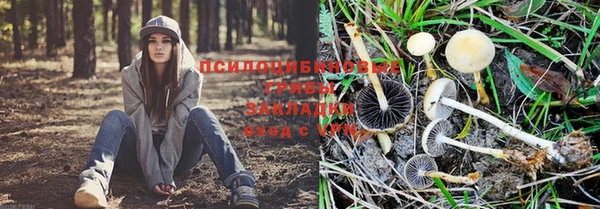 кокаин VHQ Белокуриха